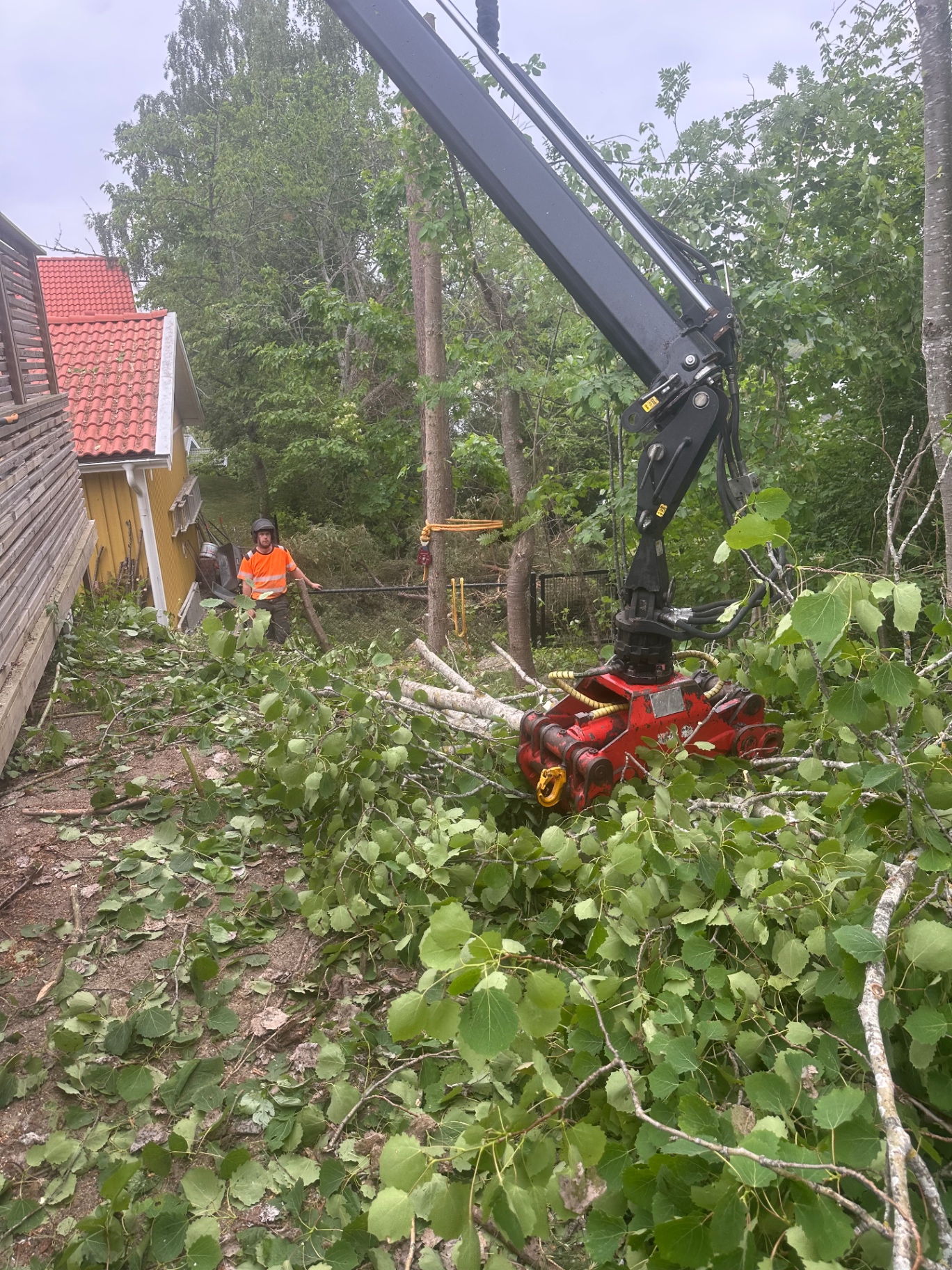 Trädfällning med kranbil på villatomt i Södermanland